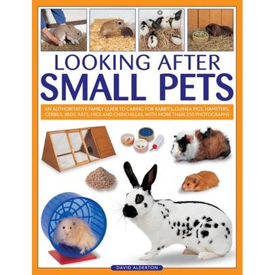 Looking After Small Pets image 0