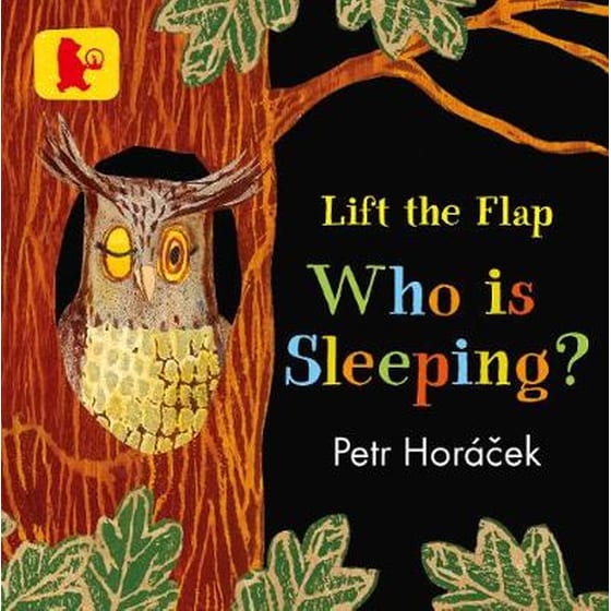 Who Is Sleeping? image 0