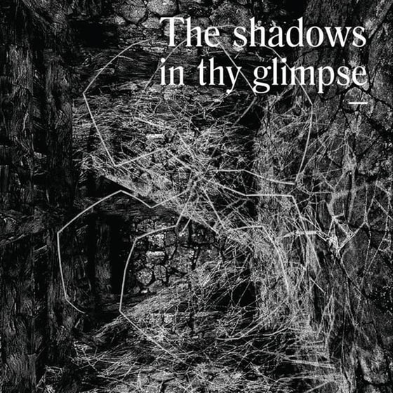 The Shadows In Thy Glimpse: Bedouin Records Selected Discography 2016-2018 image 1