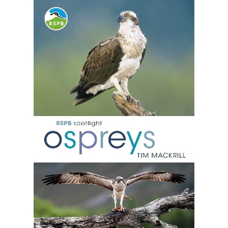 RSPB Spotlight Ospreys