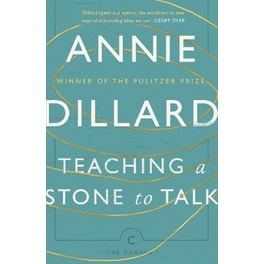 Teaching a Stone to Talk