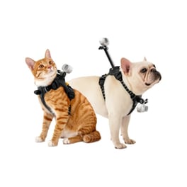 Βάση Στήριξης για Action Camera Insta360 GO3/3S Pet Harness S - Μαύρο