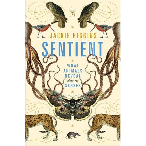 Sentient image 0