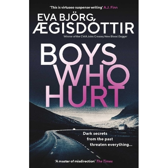 Boys Who Hurt image 0