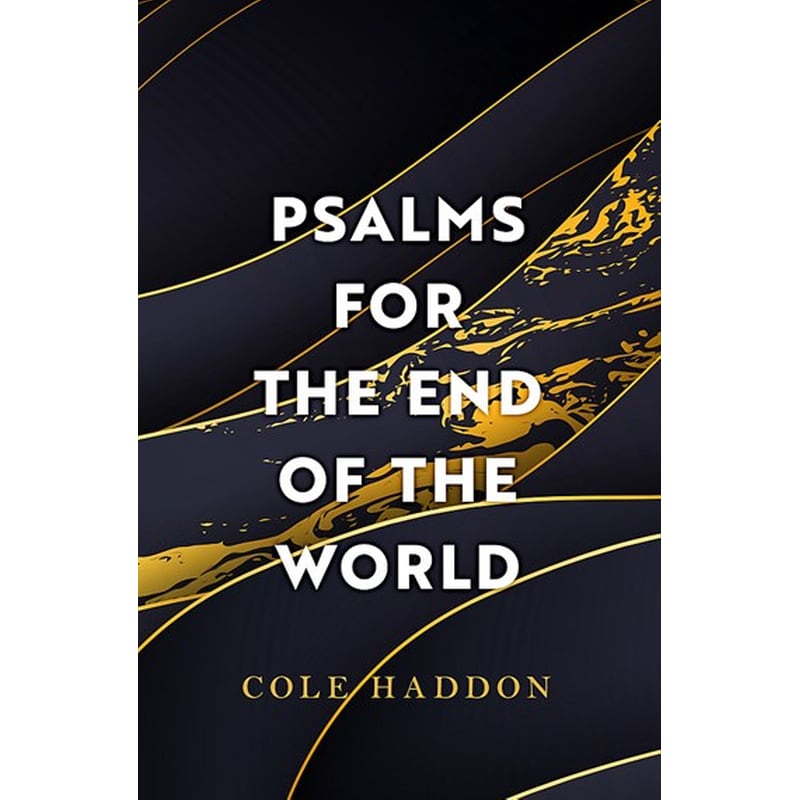 Psalms For The End Of The World: Ingenious and compelling THE TIMES 1720643
