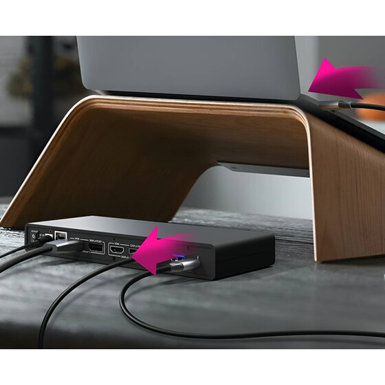 Docking Station Icy Box IB-DK2245AC 13-Port USB 3.0 συμβατό με USB-C & USB-A image 7