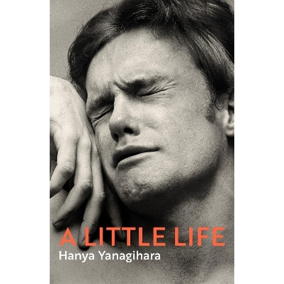 A Little Life image 0