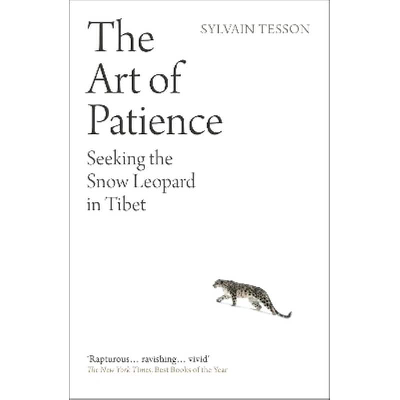 The Art of Patience