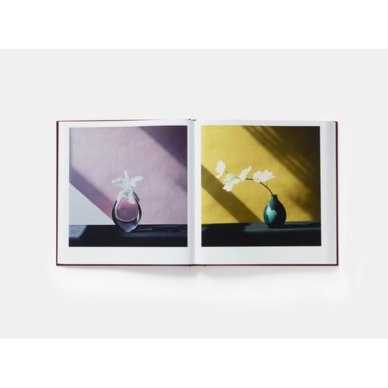 Mapplethorpe Flora image 2