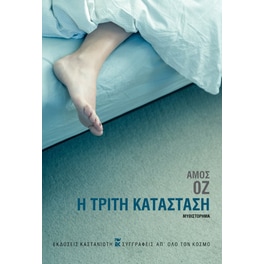Η τρίτη κατάσταση