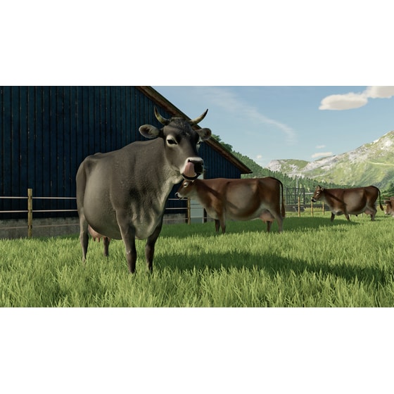 Farming Simulator 22 Premium Edition - PS4 image 27