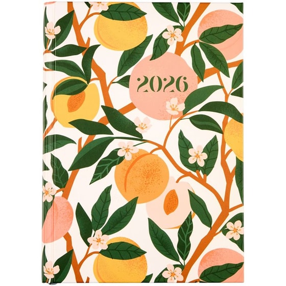 Ημερολόγιο Ημερήσιο Coolbee 2026 Citrus Fruits 14.5x20.5cm image 0