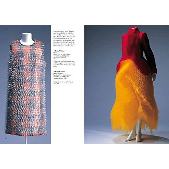 Fashion History image 1