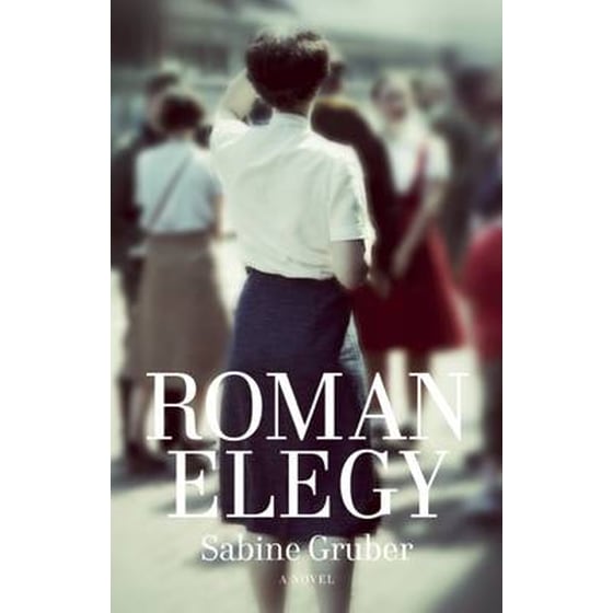 Roman Elegy image 0