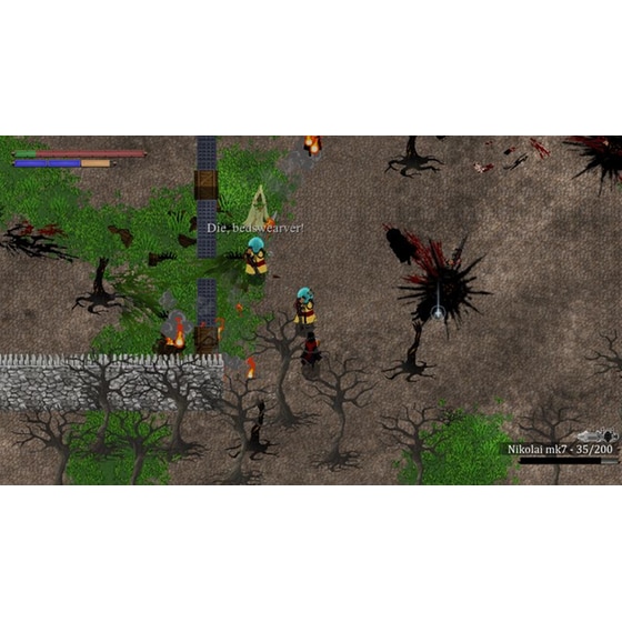 Skautfold: Into the Fray - PS4 image 1