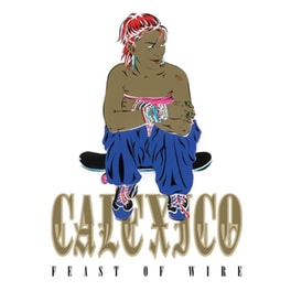 Feast Of Wire (Anniversary Edition)