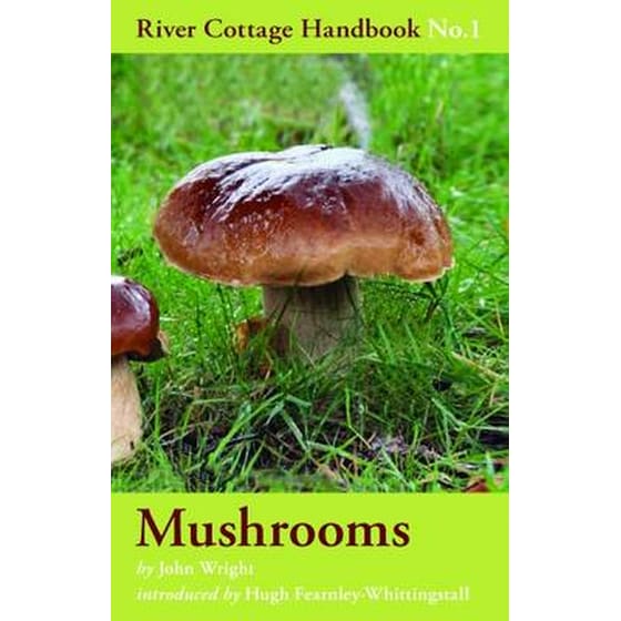 Mushrooms image 0
