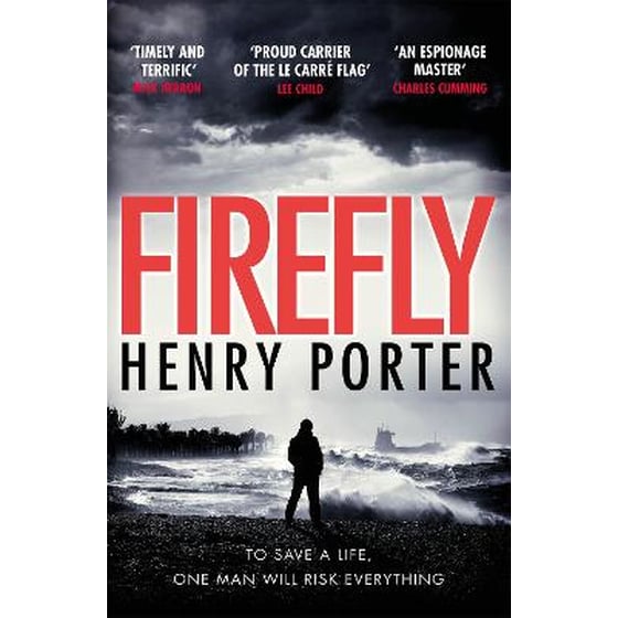 Firefly image 0