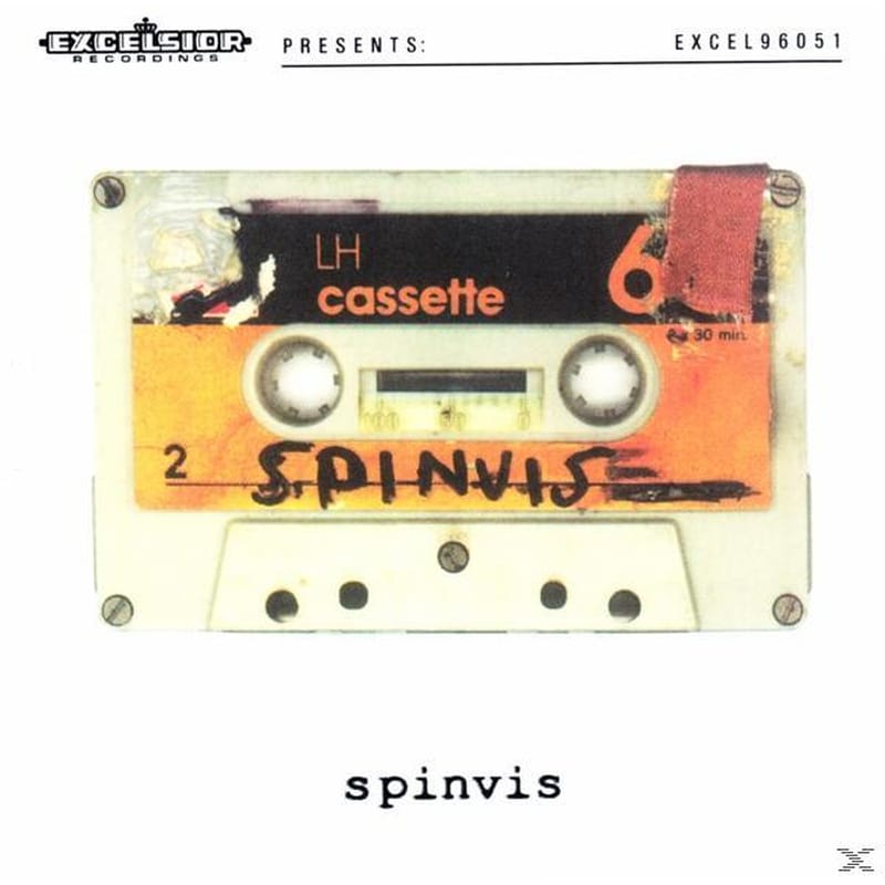 Spinvis