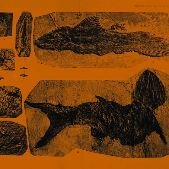 Mares (LP) image 0