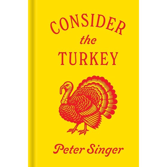 Consider the Turkey image 0
