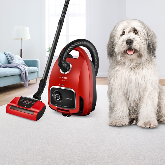 BOSCH BGL6PET1 ProAnimal 700 W με Σακούλα 4 L Κόκκινη Ηλεκτρική Σκούπα image 1