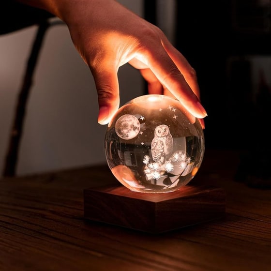 Διακοσμητικό&nbsp;Gingko Crystal&nbsp;Light&nbsp;3D&nbsp;The&nbsp;Owl&nbsp;Moon image 1