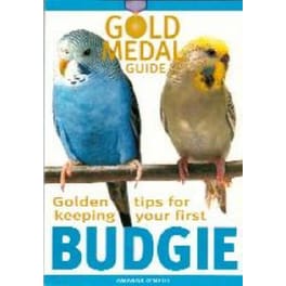 Budgie