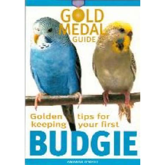 Budgie image 0