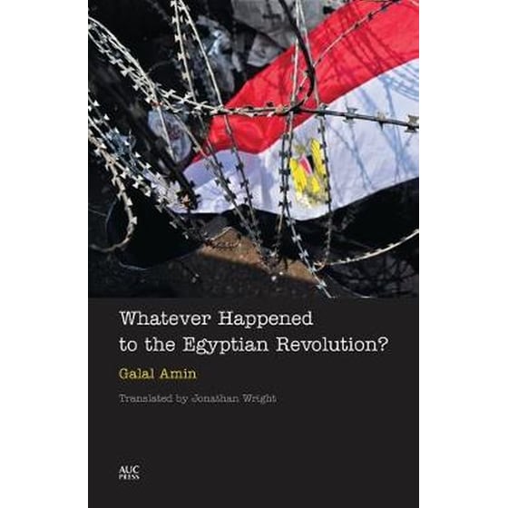 Whatever Happened to the Egyptian Revolution? image 0