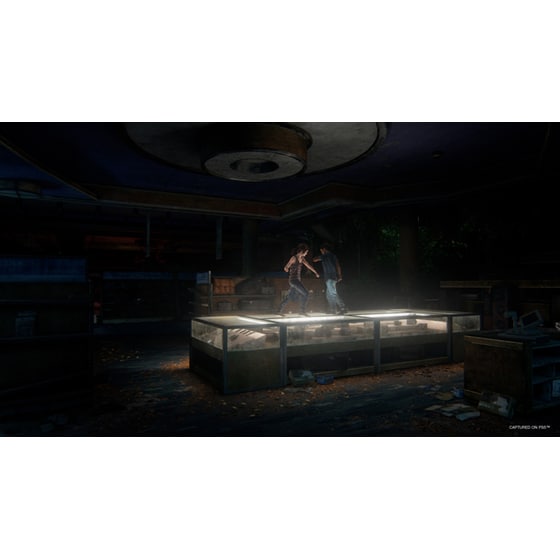 The Last of Us Remastered PlayStation Hits - PS4 image 11