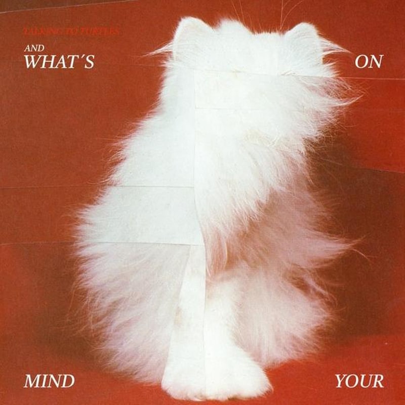 And Whats On Your Mind