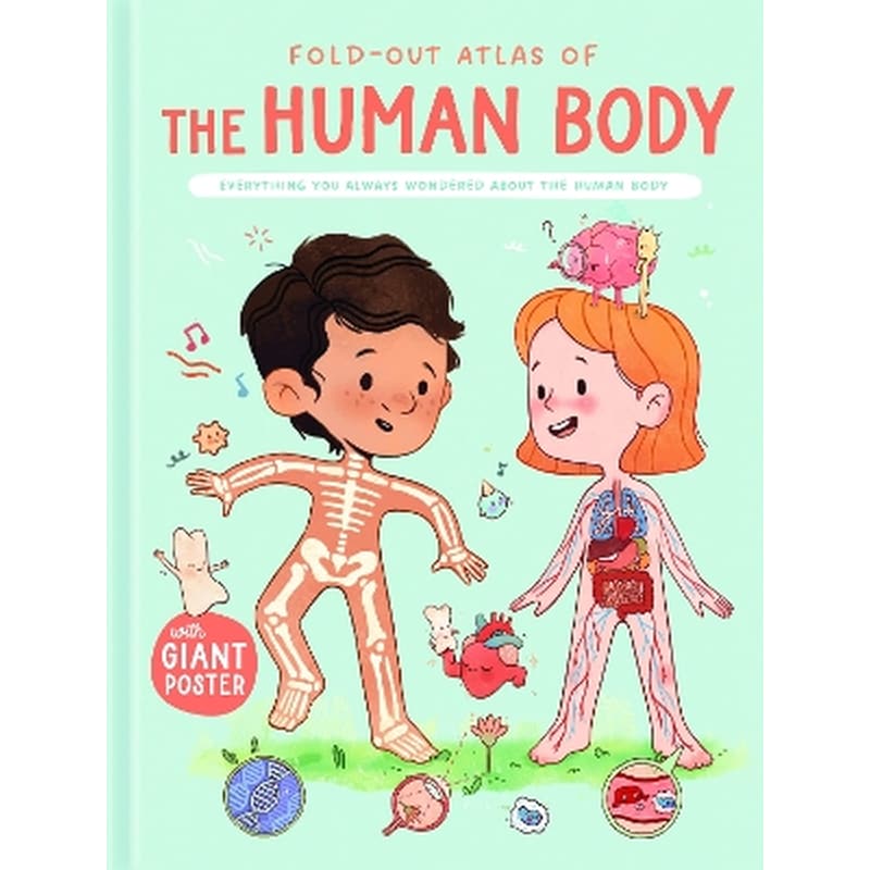 The Human Body (Fold-Out Atlas of)
