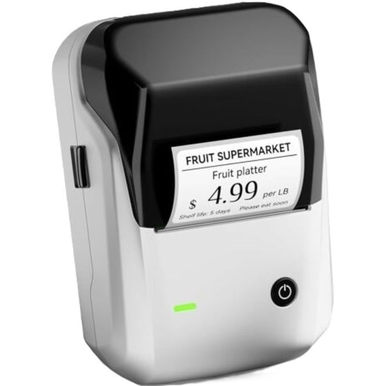 NIIMBOT Thermal B1-S Silver Θερμικός Εκτυπωτής image 0