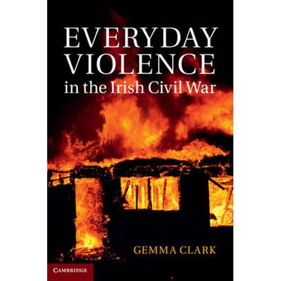 Everyday Violence in the Irish Civil War image 0