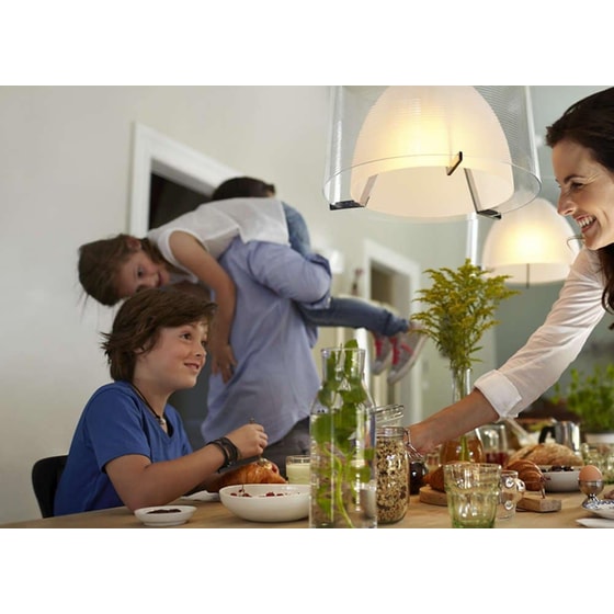 Έξυπνη Λάμπα Philips HUE Ambiance E27 - Single Bulb image 2