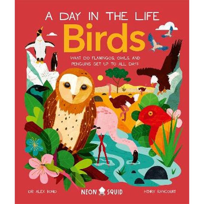 Birds (A Day in the Life)