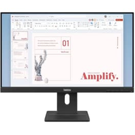 Lenovo ThinkVision E24-40 Full HD Flat 100Hz 6ms