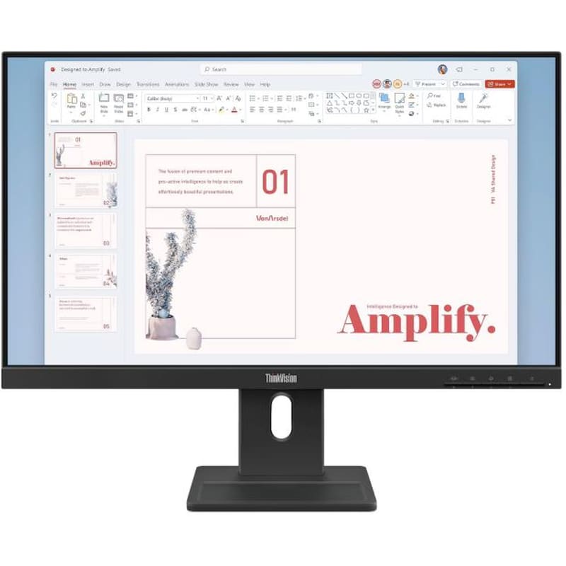 Lenovo ThinkVision E24-40 Full HD Flat 100Hz 6ms