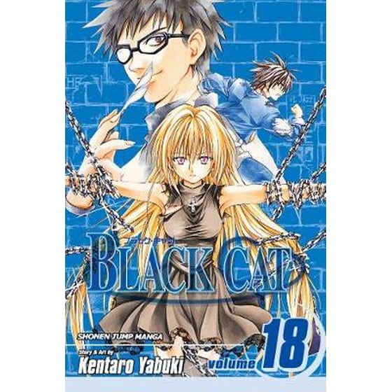Black Cat, Vol. 18 image 0