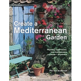 Create a Mediterranean Garden