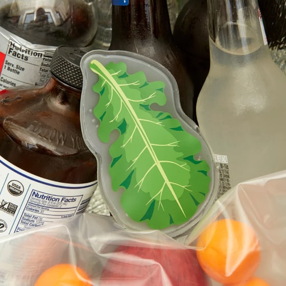 Παγοκύστη Kikkerland Kale Hot/Cold Pack - Πράσινη image 2