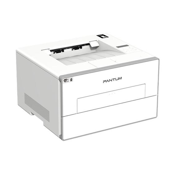 Pantum Laser BP4200DW Ασπρόμαυρος Εκτυπωτής Laser A4 Mono με WiFi, Ethernet image 3
