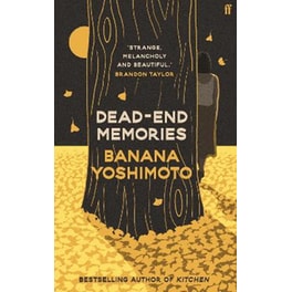 Dead End Memories