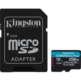 Kingston Canvas Go! Plus microSDXC 256GB Class 10 U3 V30 A2 UHS-I με αντάπτορα