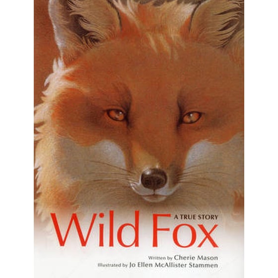 Wild Fox image 0