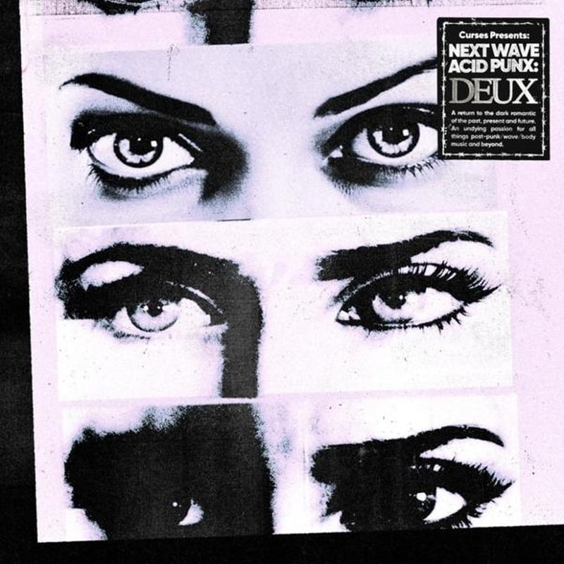 Next Wave Acid Punx Deux (3CD)