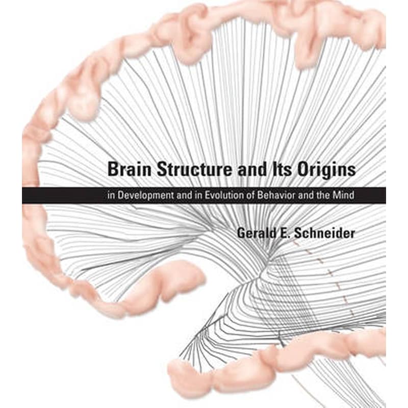 Brain Structure and Its Origins