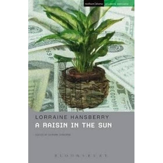 Raisin In The Sun image 0