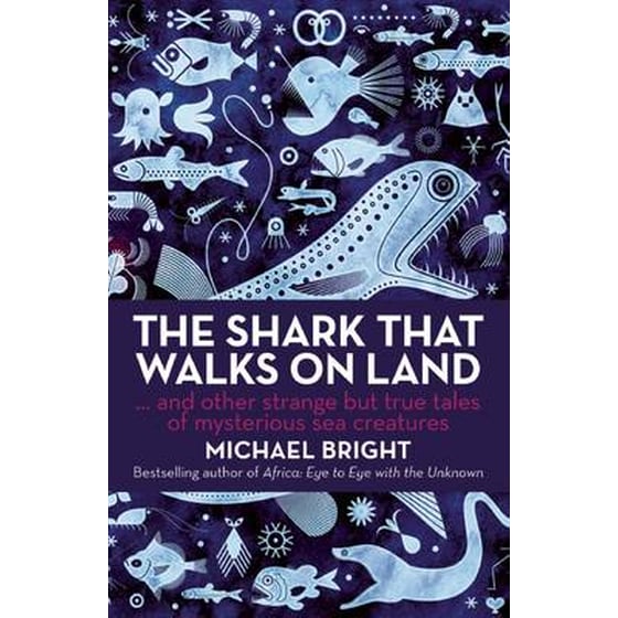 Shark That Walks on Land image 0